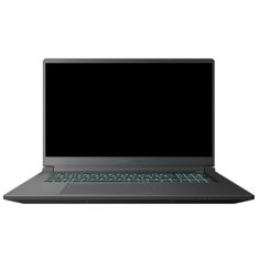 Ноутбук Thunderobot 911 X17 (911X17-i7136H56C1Q165MBD)