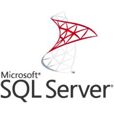 ПЗ для сервера Microsoft SQL Server 2022 - 1 Device CAL Commercial, Perpetual (DG7GMGF0MF3T_0001)