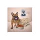 Вологий корм для собак Club 4 Paws Selection Плюс Шматочки з лососем та макрелью в соусі 85 г (4820215368056)