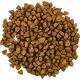 Сухий корм для кішок Savory Adult Cat Steril Fresh Lamb and Chicken 8 кг (4820232630129)