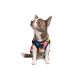 Борцівка для тварин Pet Fashion Cool M різнобарвна (4823082420193)