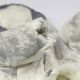 Костюм для тварин Pet Fashion Pf Style XS (4823082427970)