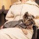 Жилет для тварин Pet Fashion Harry XS2 (4823082430109)