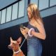Повідець для собак WAUDOG R-leash світловідбиваюча стрічка XS-M до 40 кг 2.9 м рожевий (81277)