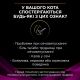 Вологий корм для кішок Purina Pro Plan Veterinary Diets UR ST/OX Urinary З куркою 10 x 85 г (8445290093592)