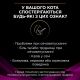 Вологий корм для кішок Purina Pro Plan Veterinary Diets UR ST/OX Urinary З лососем 10 x 85 г (8445290093851)