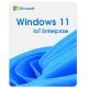 Операційна система Microsoft Windows 11 IoT Enterprise LTSC 2024 Perpetual, Commercial, OneTime (DG7GMGF0PP49_0001)