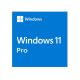 Операційна система Microsoft Windows 11 Pro укр, ОЕМ на DVD носії (FQC-10557)