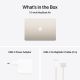 Ноутбук Apple MacBook Air 13 M4 A3240 Starlight (MW0Y3UA/A)