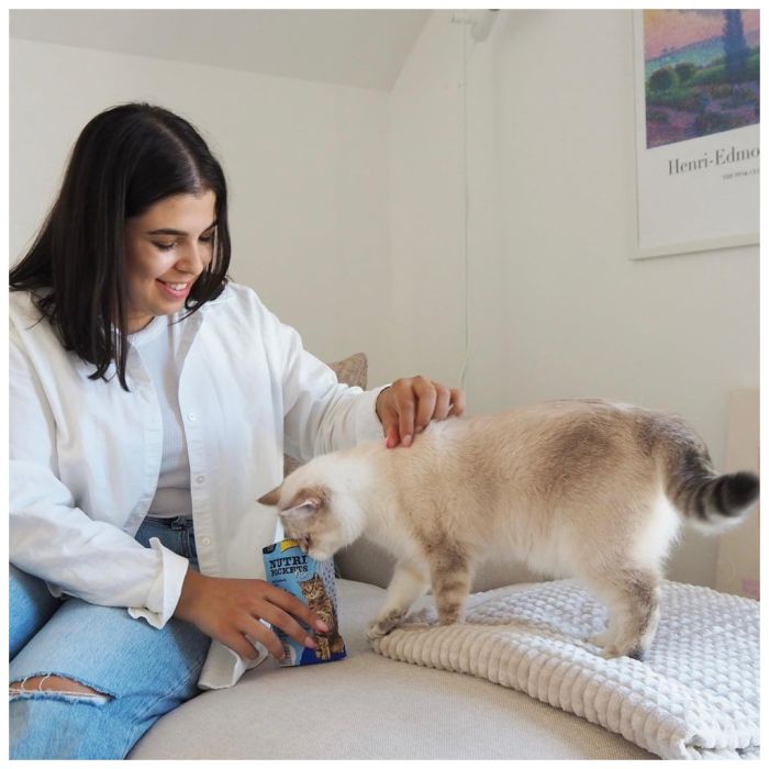 Ласощі для котів GimCat Nutri Pockets Fish Тунець 60 г (4002064419633)