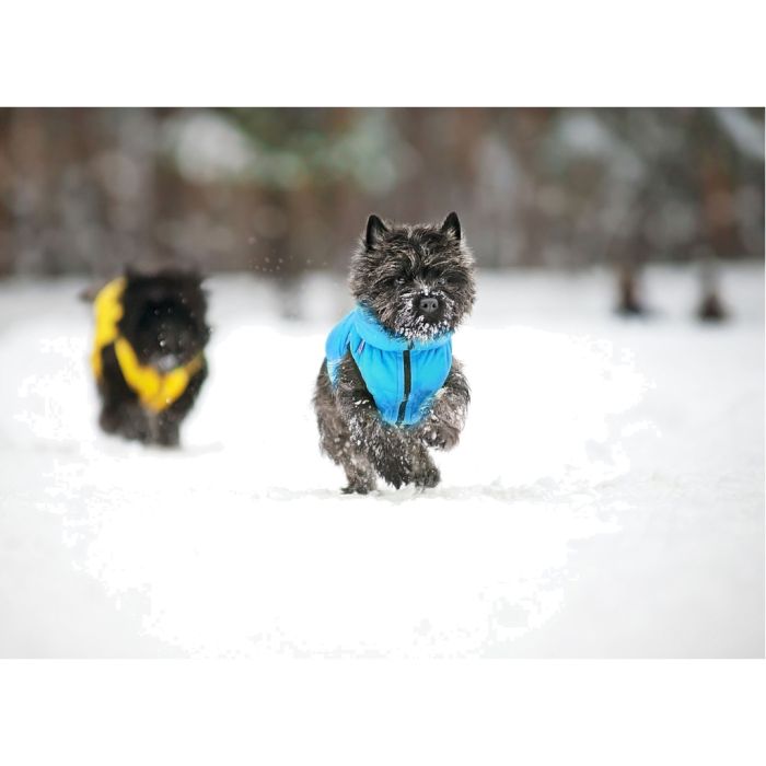 Курточка для тварин Collar AiryVest 