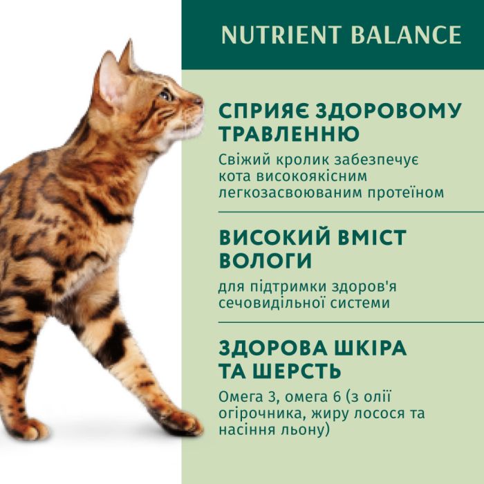 Вологий корм для кішок Optimeal з кроликом в морквяному желе 85 г (4820215365840)