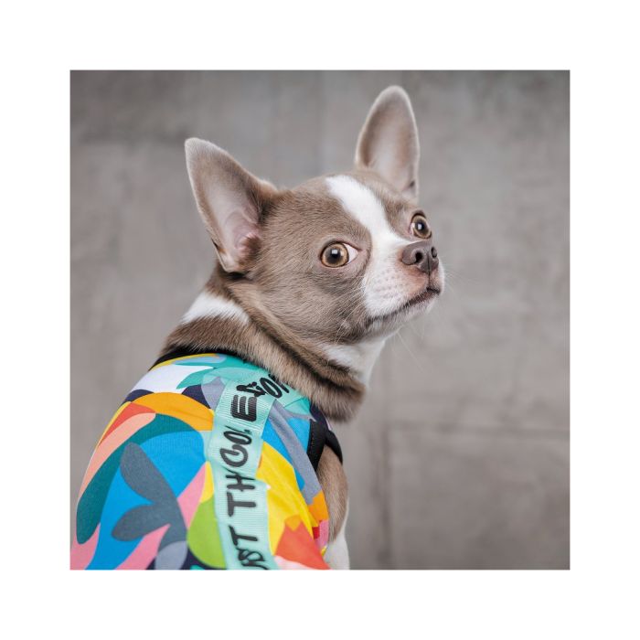 Борцівка для тварин Pet Fashion Cool M різнобарвна (4823082420193)