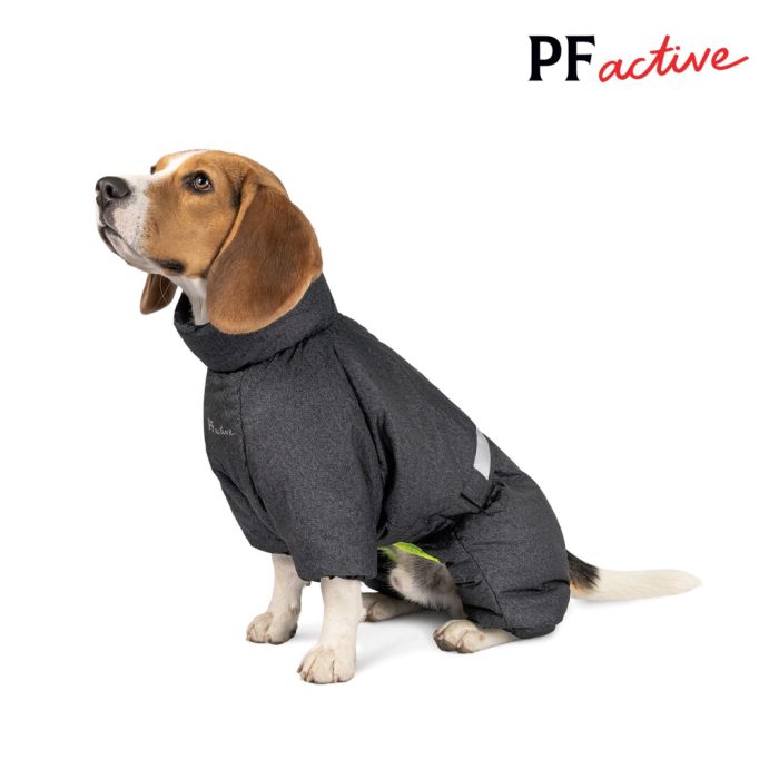 Комбінезон для тварин Pet Fashion 
