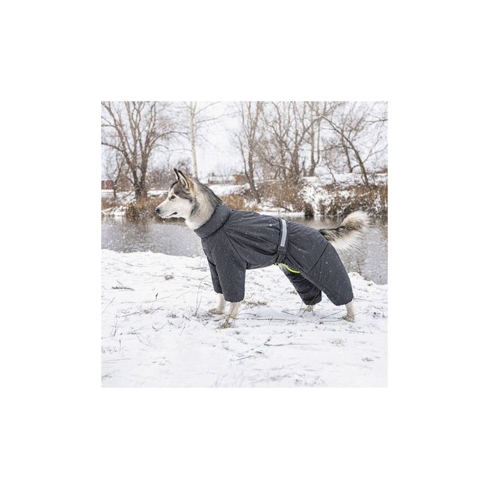 Комбінезон для тварин Pet Fashion 