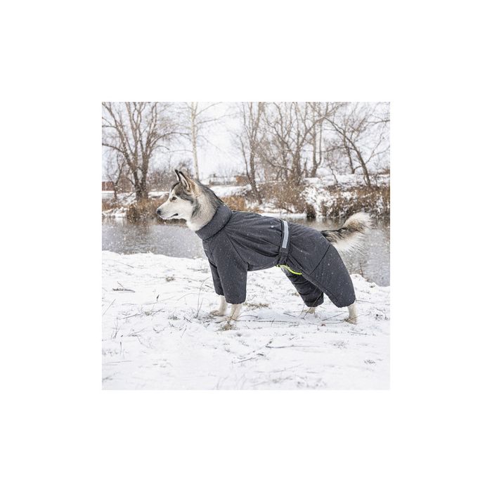 Комбінезон для тварин Pet Fashion 