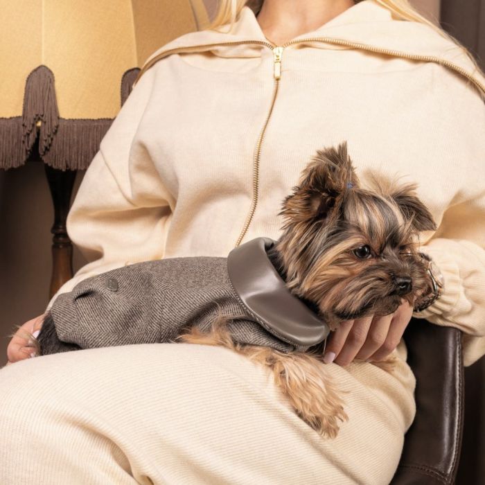 Жилет для тварин Pet Fashion Harry XS2 (4823082430109)