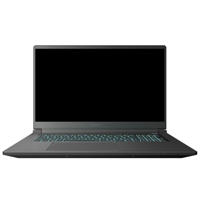 Ноутбук Thunderobot 911 X17 (911X17-i7136H56C1Q165MBD)
