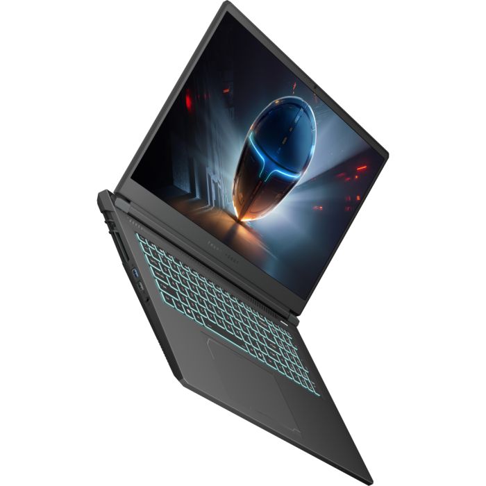 Ноутбук Thunderobot 911 X17 (911X17-i7136H56C1Q165MBD)
