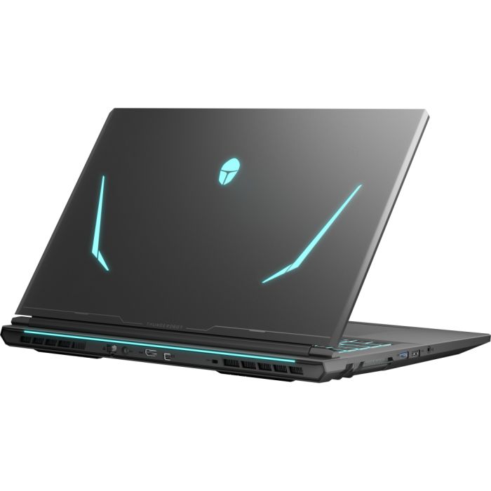 Ноутбук Thunderobot 911 X17 (911X17-i7136H56C1Q165MBD)