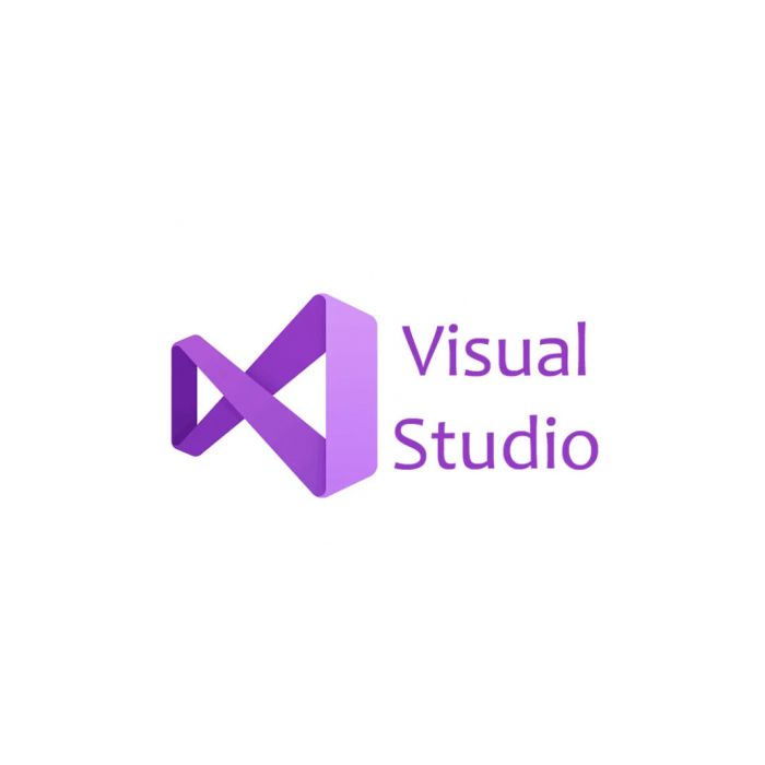 Офісний додаток Microsoft Visual Studio Professional 2022 Commercial, Perpetual (DG7GMGF0D3SJ_0003)