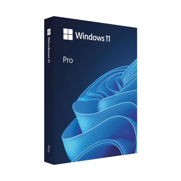 Операційна система Microsoft Windows 11 Pro укр, FPP на USB носії (HAV-00195)
