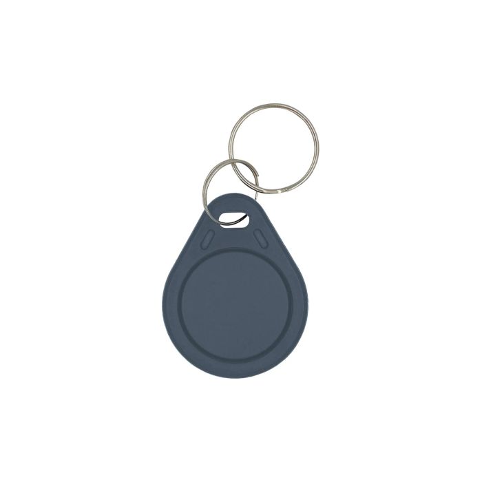 Брелок з чіпом Trinix P-key RW gray