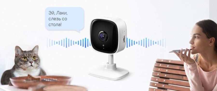 Камера відеоспостереження TP-Link Tapo C100 (TAPO-C100)