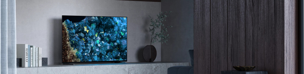 Телевізор Sony BRAVIA XR OLED 55A80L (XR55A80L)