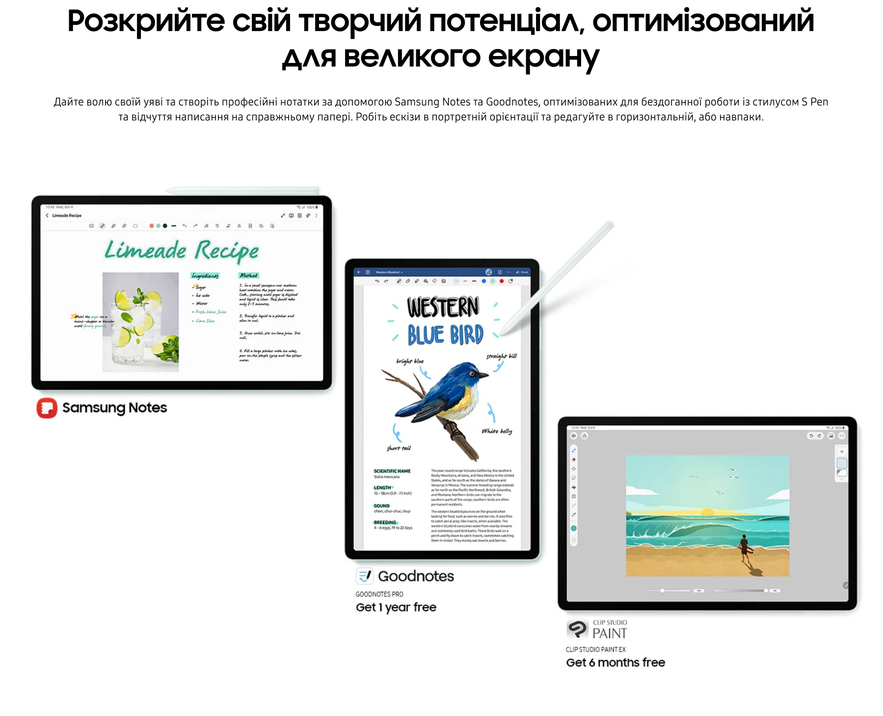 Планшет Samsung Galaxy Tab S9 FE WiFi 6/128Gb Ocean Green (SM-X510NLGASEK)