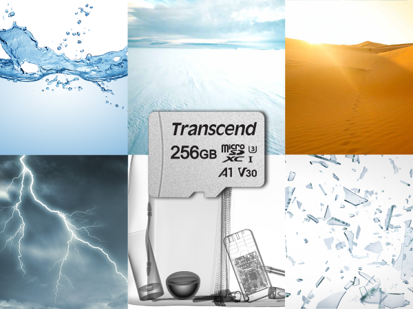 Карта пам’яті Transcend microSDXC 256GB C10 UHS-I R95/W45MB/s + SD-адаптер (TS256GUSD300S-A)