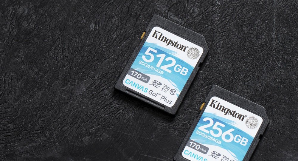 Карта пам`яті Kingston SDXC 256GB Canvas Go Plus 170R C10 UHS-I U3 V30 (SDG3/256GB)