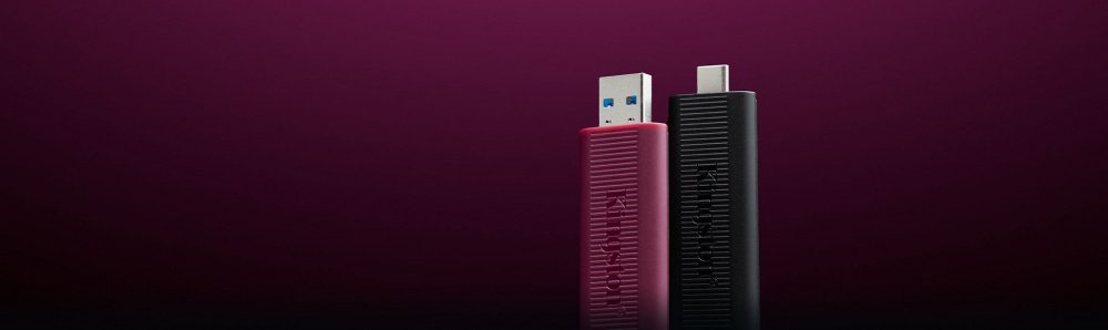 Накопичувач Kingston 256GB USB 3.2 Gen 2 DT Max Type-A (DTMAXA/256GB)