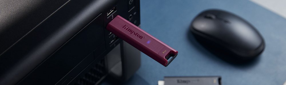 Накопичувач Kingston 256GB USB 3.2 Gen 2 DT Max Type-A (DTMAXA/256GB)