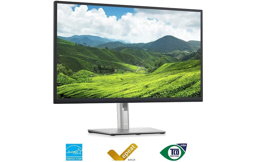 Монітор 23.8″ DELL P2423DE (210-BDDW)