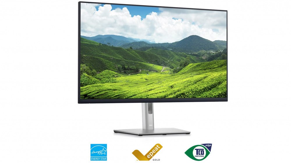 Монітор 31.5" DELL P3223DE (210-BDGB)