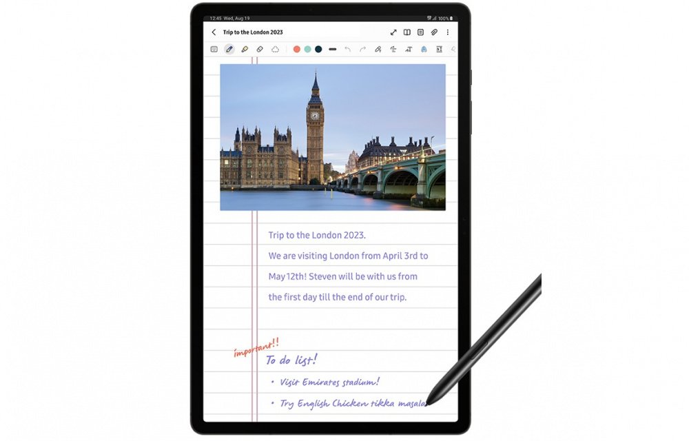 Планшет Samsung Galaxy Tab S9 5G 12/256Gb Graphite (SM-X716BZAESEK)