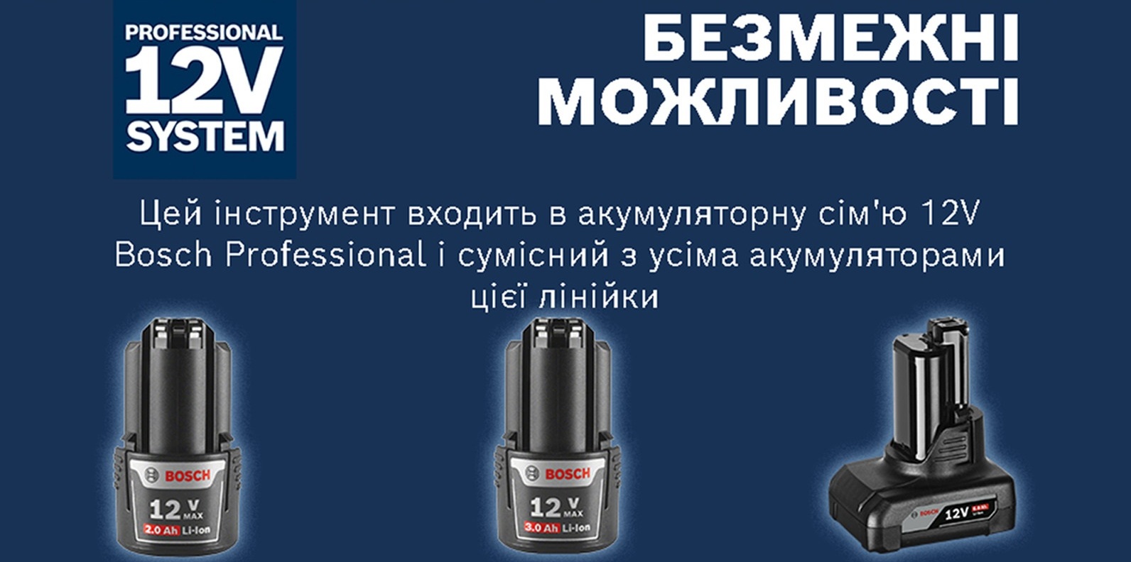 Шуруповерт-дриль Bosch Professional 12V-30 безщітковий (0.601.9G9.000)