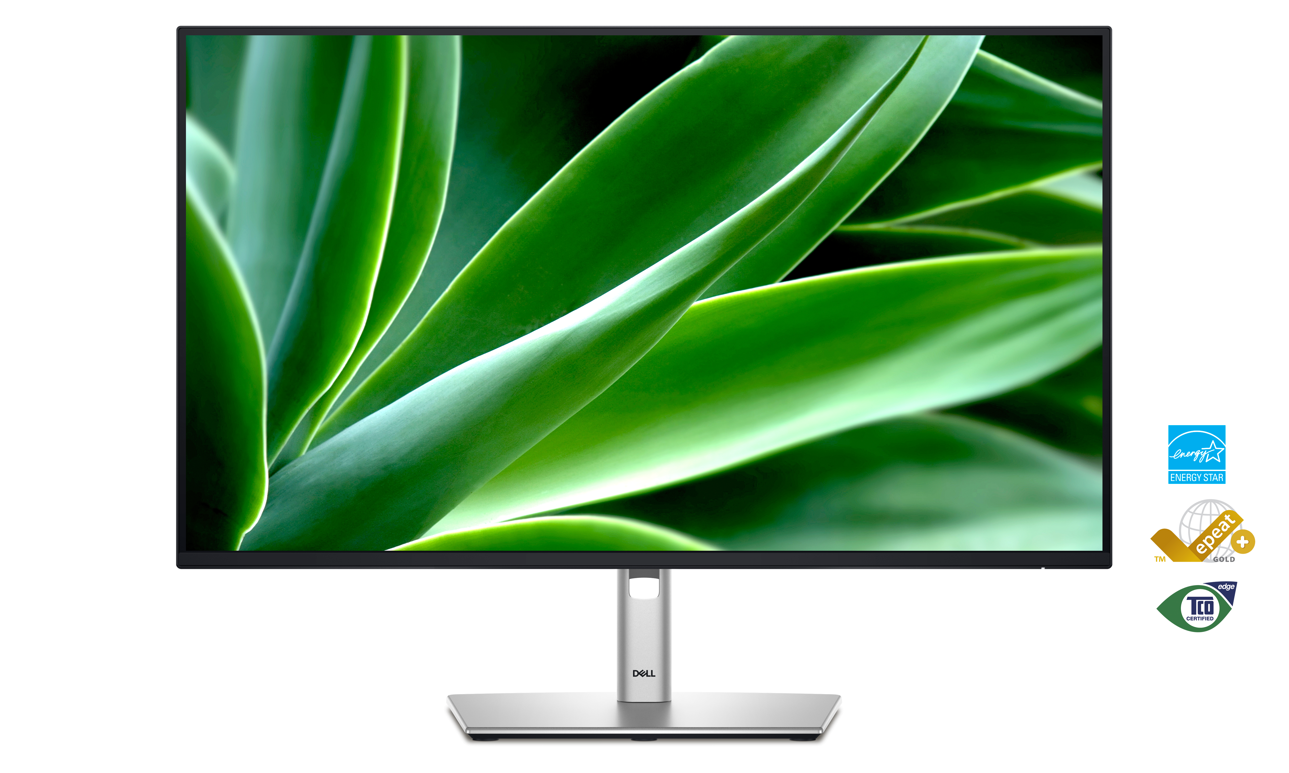 Монітор 27″ DELL P2725H (210-BMGC)