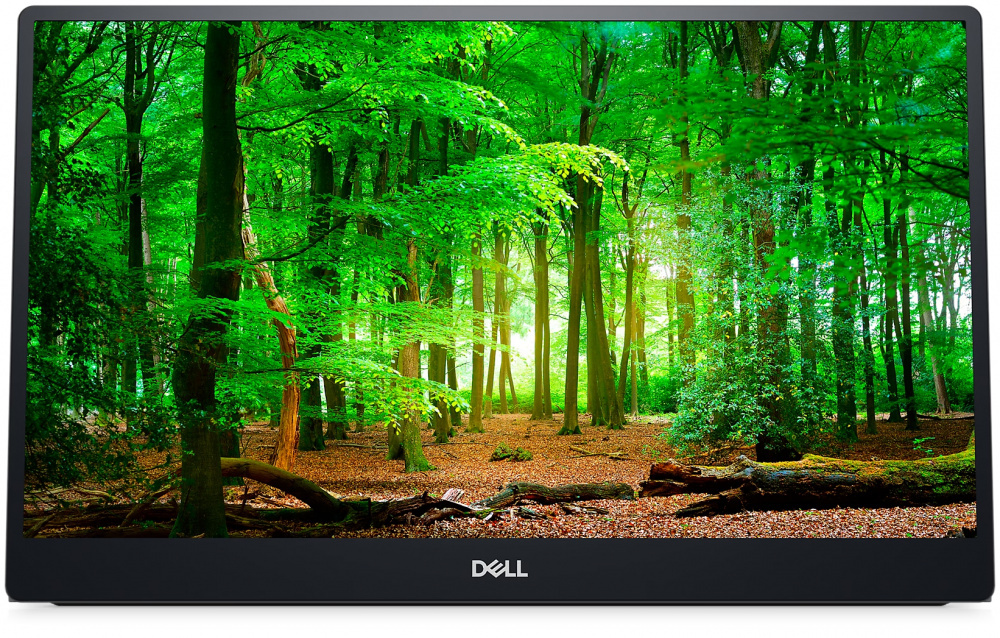 Монітор портативний 14″ DELL P1424H (210-BHQQ)