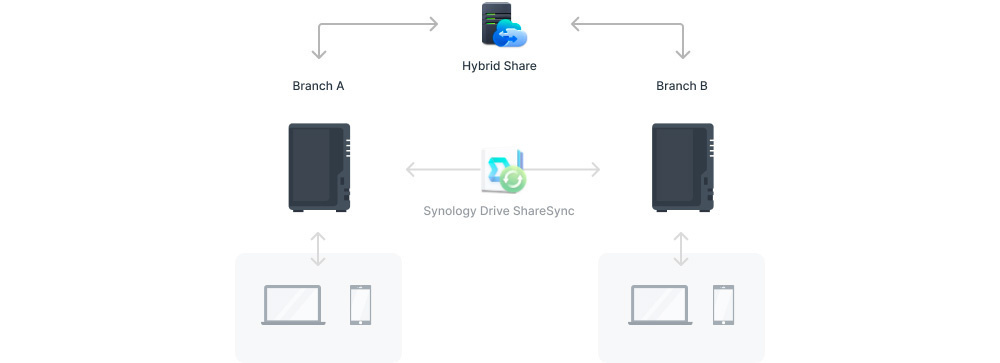 Мережеве сховище NAS Synology DS224+