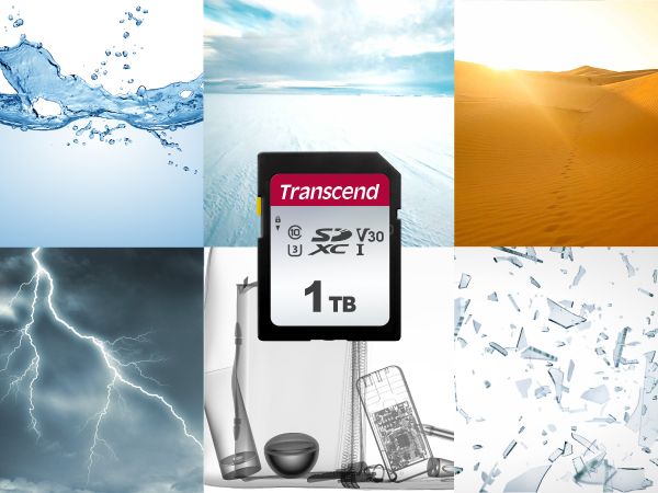 Карта пам`яті Transcend SD 8GB C10 R20MB/s (TS8GSDC300S)