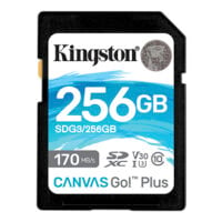 Карта пам`яті Kingston SDXC 256GB Canvas Go Plus 170R C10 UHS-I U3 V30 (SDG3/256GB)