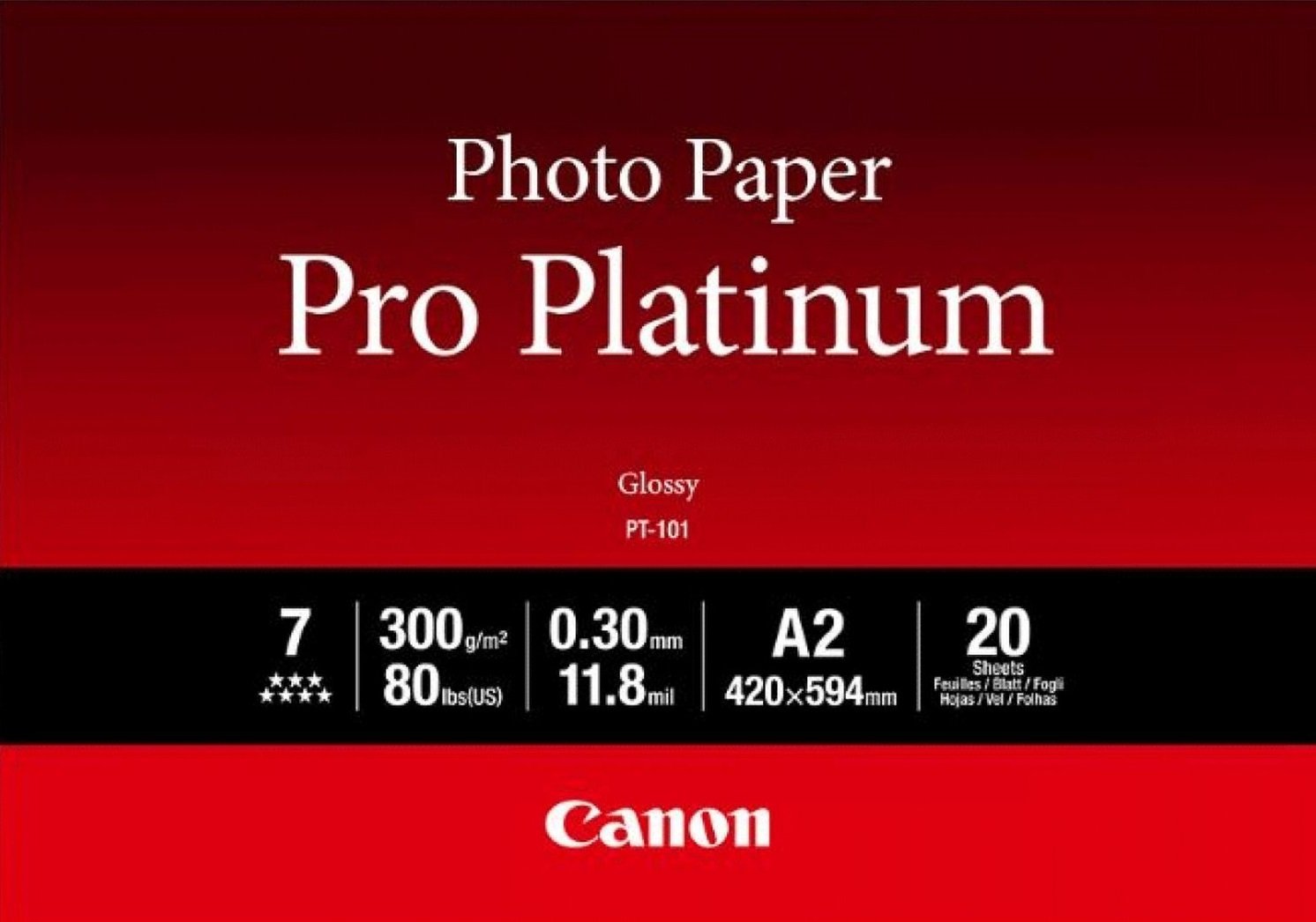 Canon A2 Pro Platinum Photo Paper PT-101 A2 20л