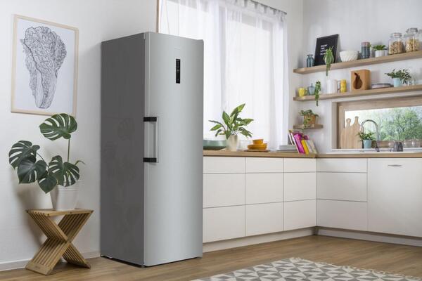 Морозильна камера Gorenje FN619EAXL6