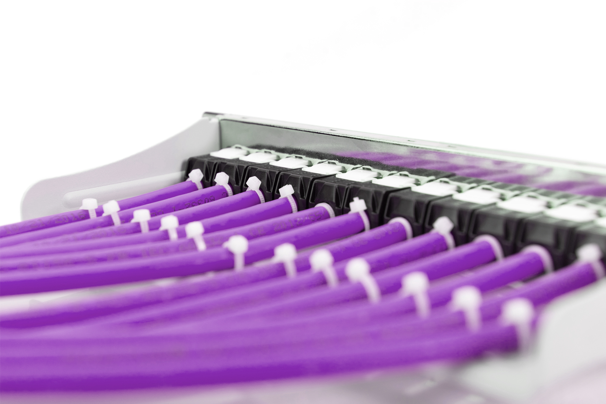 Патч-корд DIGITUS CAT 6 U-UTP 100m, AWG 23/1, LSZH-1, Purple (DK-1613-VH-1)