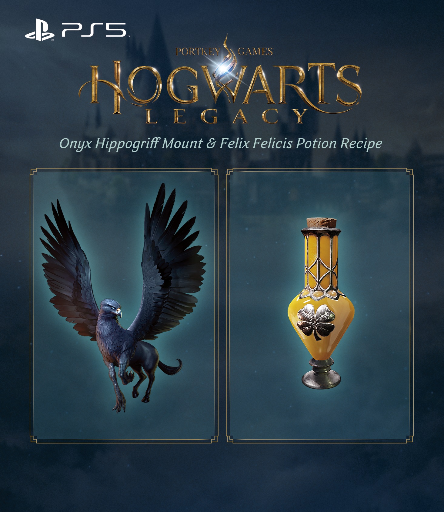 Игра Hogwarts Legacy (PS5)