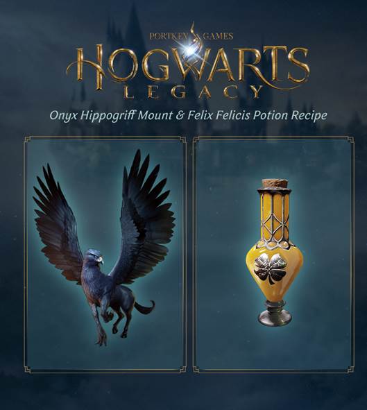 Игра Hogwarts Legacy (PS4)