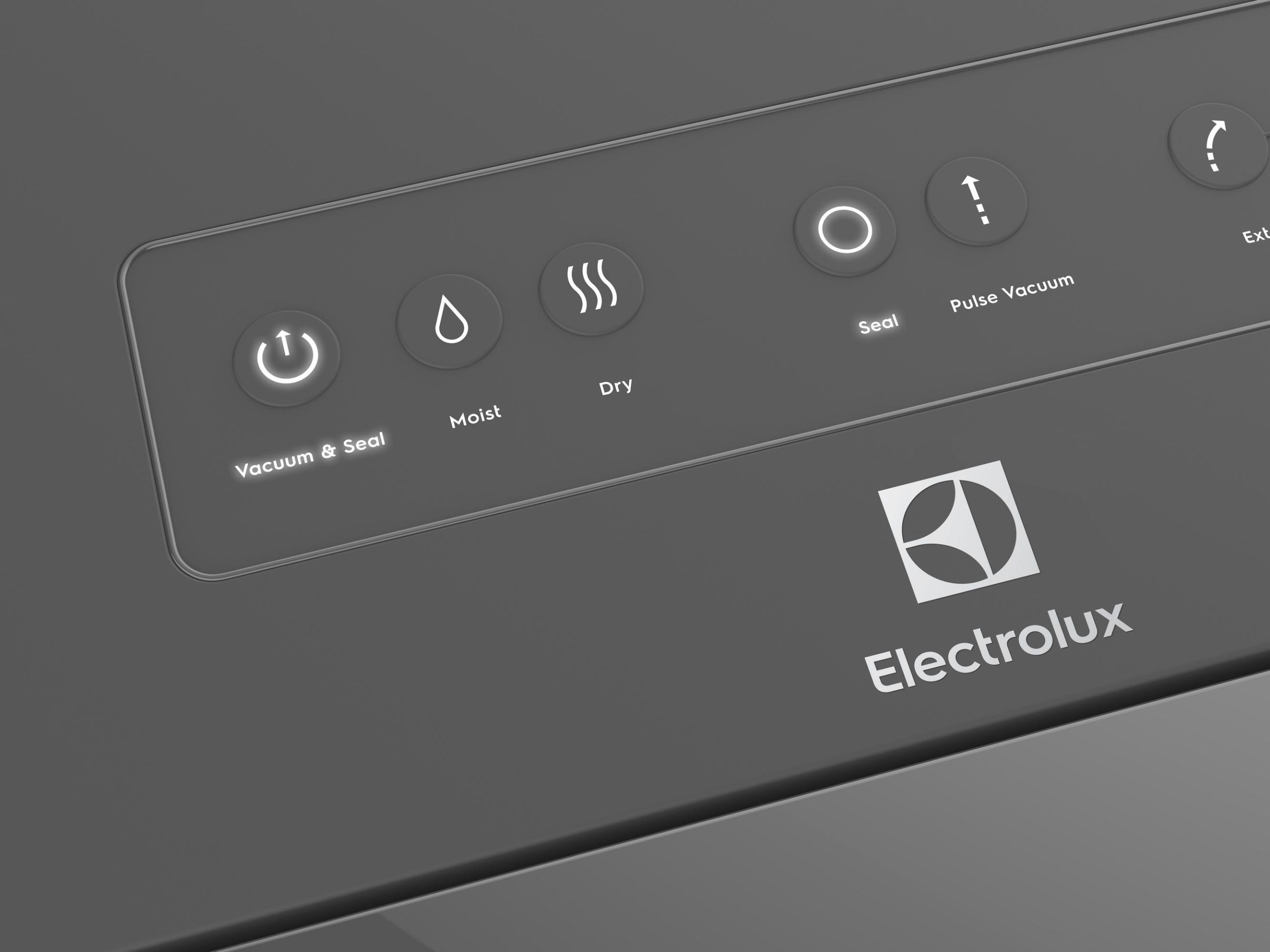 Вакууматор Electrolux для рулонів, пакетів і контейнерів, 120Вт, 30см, електронне керування, +1 рулон, пластик, сірий