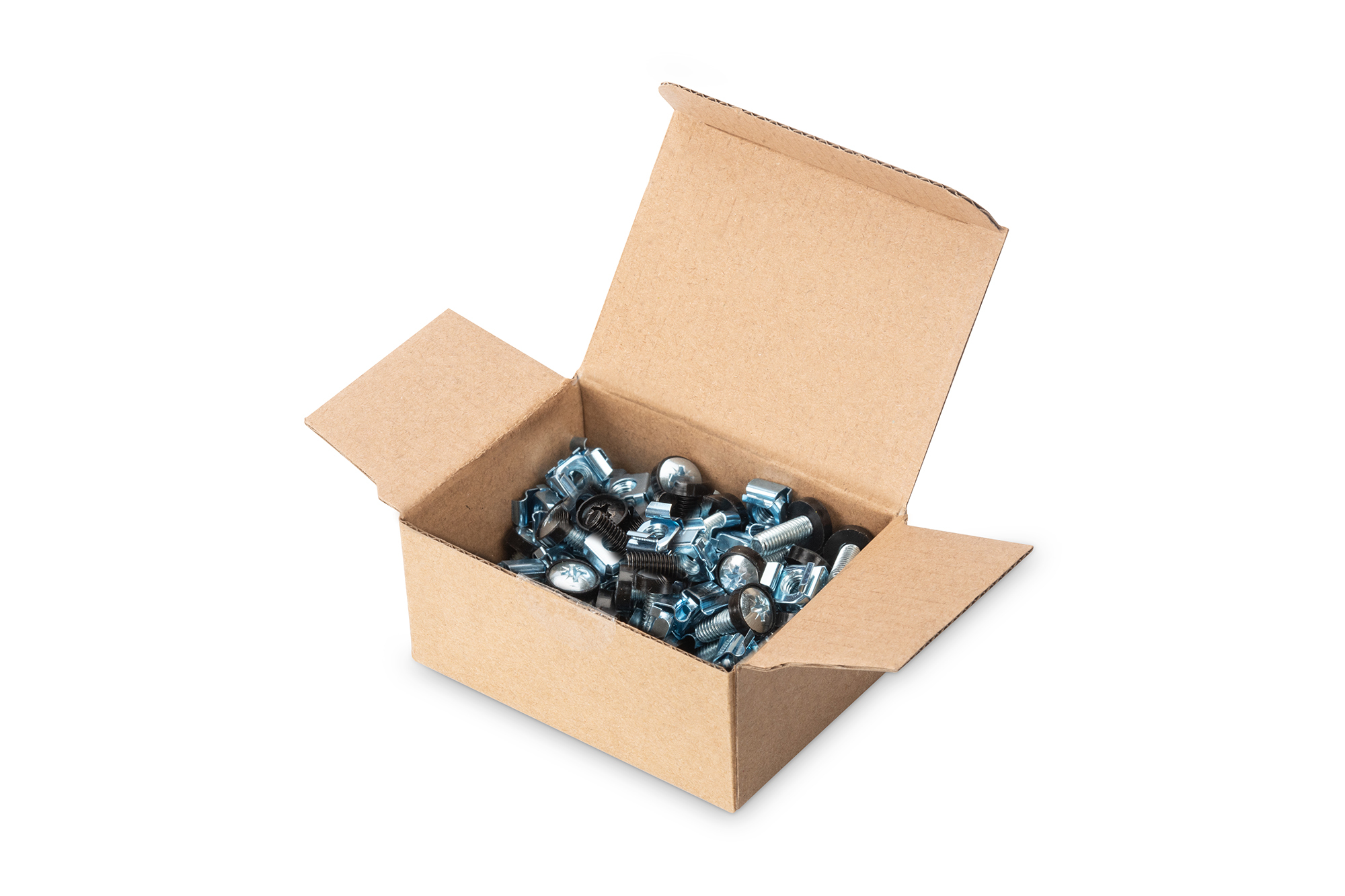 Кріпильний набір DIGITUS M6 Screws&Nuts, 50 pcs., silver